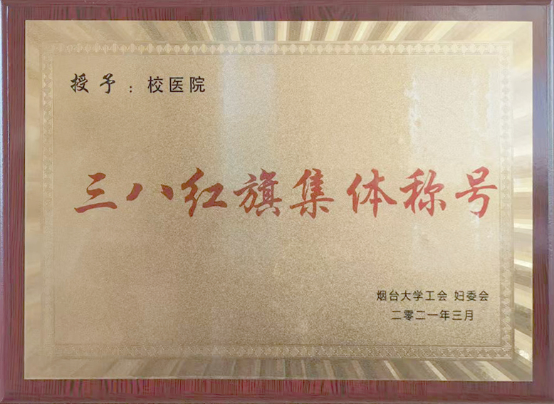 三八红旗手